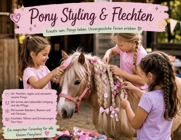 Pony Styling und Flechten
