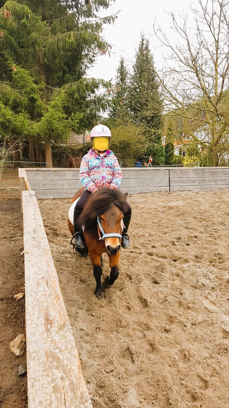 Longenstunde Wertkarte fortgeschrittenes Reiten